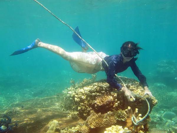 绥阳：抓住“鸡”遇  “00后”新农人逐梦乡村