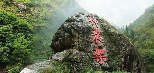 加拿大鹅盘中异动 股价大涨5.00%报12.07美元