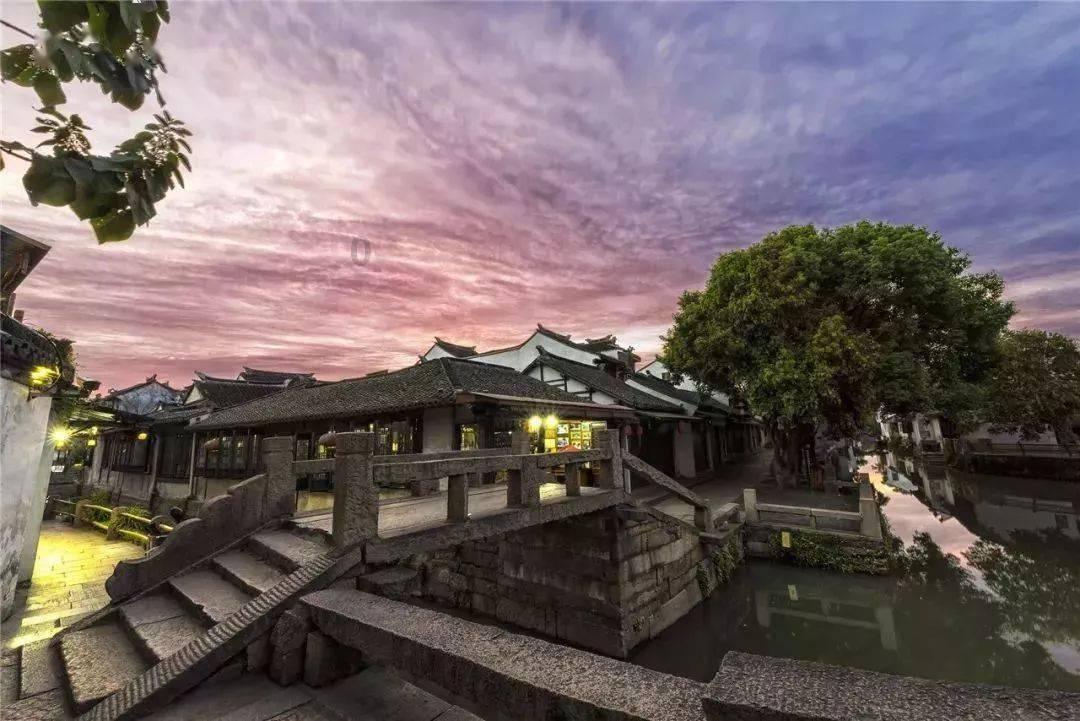 沙皮狗逃离